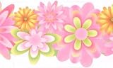 Baby Pink Wild Flowers Wallpaper Border