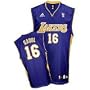 adidas Los Angeles Lakers #16 Pau Gasol Purple Replica Jersey