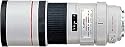 Canon EF 300mm f/4.0L IS USM Image Stabilising Lens