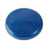 Ball Dynamics Fitball Balance Disc 14