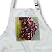 True bug eggs on wild flower.They always lay eggs on floating plant parts,like leaves or this flower - Full Length Apron With Pockets 22w X 30l