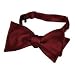 Apparel : Forzieri Wine Red Solid Silk Self-tie Bowtie