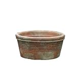 Greenhouse Collection Medium Seed Pans (Set of 4)