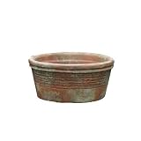 Greenhouse Collection Medium Seed Pans (Set of 4) by 