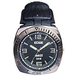 EDGE DiskGO USB Watch Drive - USB memory watch - 2 GB - Hi-Speed USB
