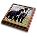 Dogs Bernese Mountain Dog - Bernese Mountain Dog - Trivets