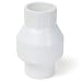 1-1/2 Check Valve