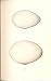 2 H/C Meyer Bird Eggs 1842 Brent Goose, Cravat Goose