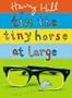 Tim the Tiny Horse at Large