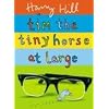 Tim the Tiny Horse at Large