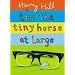 Tim the Tiny Horse at Large