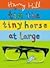 Tim the Tiny Horse at Large