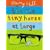Tim the Tiny Horse at Large