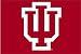 NCAA Indiana Hoosiers 20 x 30 Rug