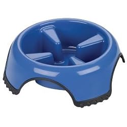 Jw Pet Skidstop Slow Feed Pet Bowl Large(Color May Vary)
