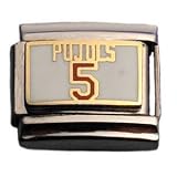 Albert Pujols #5 St. Louis Cardinals Italian Style Charm