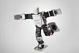 二足歩行ロボットキット Robovie-X Lite (ロボビー エックス ライト)
