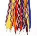 Bandana Fever : Fat Retro Shoelaces