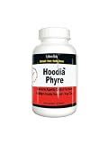 Hoodia PHYRE 1000 mg par gélule - 60 gélules coupe faim extrême avec brûleur de graisse aux plantes - Gélules végétariennes par Hoodia PHYRE