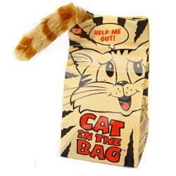 Multipet Cat In The Bag Motorized Cat Toy