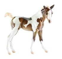 Takoda - Paint Foal