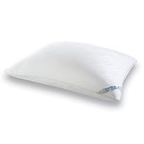 Deals Shopping 2014 Tempur Pedic Tempur Breeze Pillow