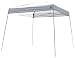 Undercover Canopy Flex Instant Shelter Pop Up (10 x 10-Feet, White)
