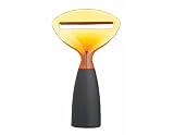 Review Kitchen Craft  / Kitchen Craft Stand Up Polycarbonate Headed Cheese Plane- Orange
