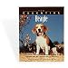   - The Essential Beagle