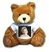 Custom Photo Teddy Bear Stuffed Animal w/T-Shirt Personalized with Your Favorite Photo