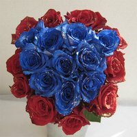 ブルードリーム　青いバラと赤いバラのラメ入り花束　80本　【生花】【お祝い】記念日】【誕生日】【フラワーギフト】【バラ】