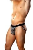 1st Fantasies Male Power Silver Streak Jock Strap - cod. B001BMIINW