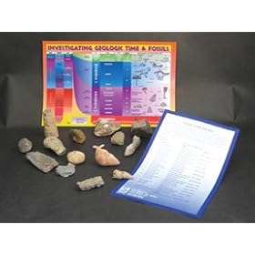 Bagged Specimen Collections; Contains 6 fossil specimens