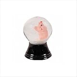 Mini Pig Snow Globe