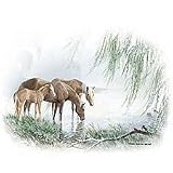 Willow Pond~horse Youth Sweatshirt