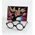 Wizard Boy Glasses