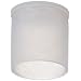 Kapsto 200 Z 18 x 20 Polyethylene Protective Cap, Natural, 18 mm Tube OD (Pack of 100)