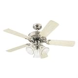 Westinghouse Lighting 78435 42 Brushed Nickel