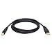 Tripp Lite U022-015  15-Feet USB2.0 Certified Gold A/B Device Cable