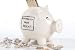 Sparschwein Smokey 12 x 15 cm für angehende Nichtraucher
