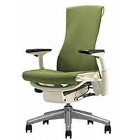 Embody Chair by Herman Miller - Home Office Desk Task Chair with Adjustable Arms - White Frame Titanium Base Rhythm Green Apple Fabric