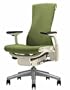 Embody Chair by Herman Miller - Home Office Desk Task Chair with Adjustable Arms - White Frame Titanium Base Rhythm Green Apple Fabric