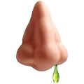 Nasen Seifenspender