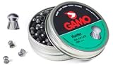 Gamo .22 Hunter