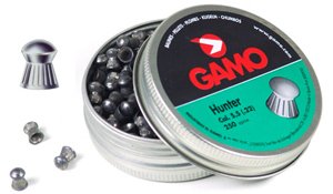 Gamo .22 Hunter
