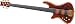 Schecter Stiletto Studio-5 Left-Handed Bass, Honey Satin