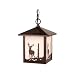 Vaxcel International Lighting Outdoor Pendant
