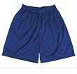 Badger Polyester Two Ply Mesh Mens Shorts
