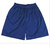 Badger Polyester Two Ply Mesh Mens Shorts