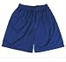 Badger Polyester Two Ply Mesh Mens Shorts